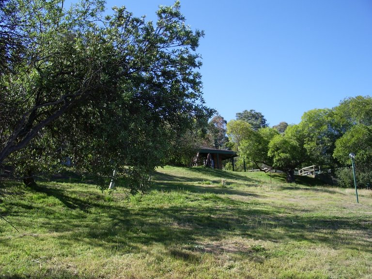 Scene of orchard with bushhaven homestead above